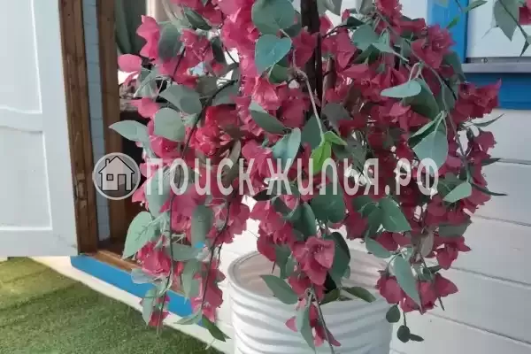 Частный сектор «Санторини»