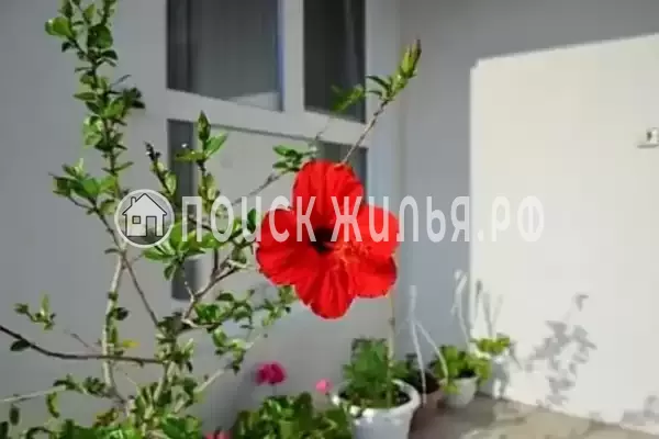 Дом под ключ «Жемчужина Асана»