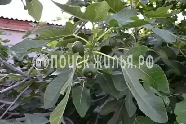 Дом под ключ «Жемчужина Асана»