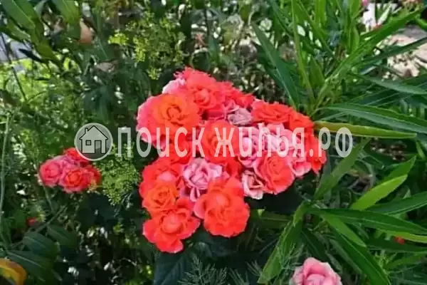 Дом под ключ «Жемчужина Асана»