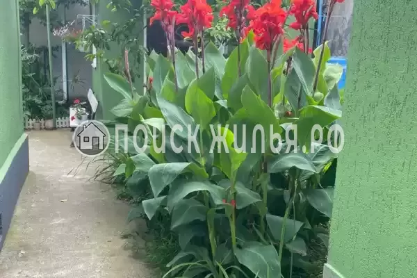 Дом под ключ «Дом Дача»