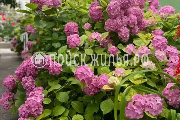 Дом под ключ «Дом Дача»