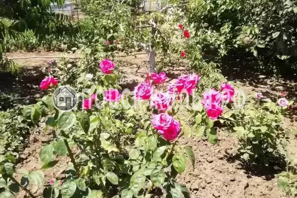 Дом под ключ «Дом под ключ»