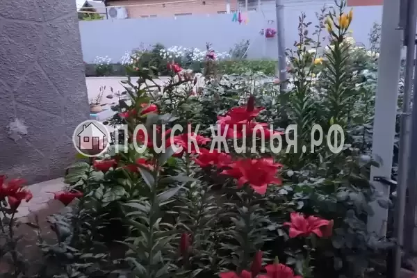 Частный сектор «Домик на Азове» Частный сектор «Домик на Азове»