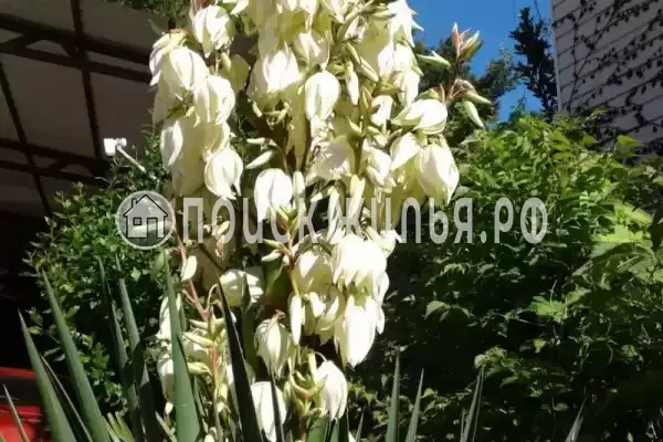 Дом под ключ «Вишня»