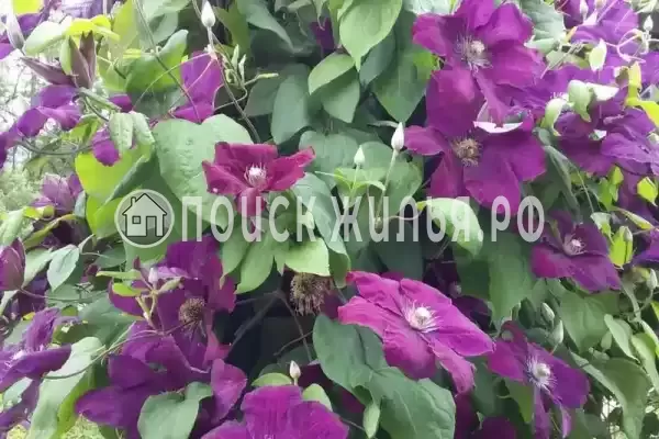 Дом под ключ «Вишня»