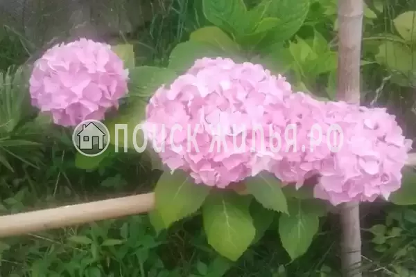 Дом под ключ «Вишня»