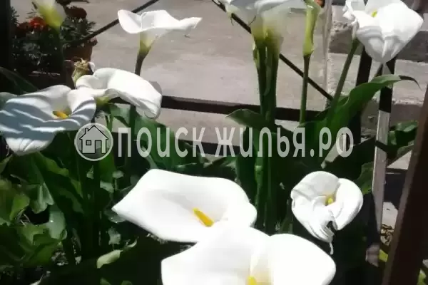 Дом под ключ «Вишня»