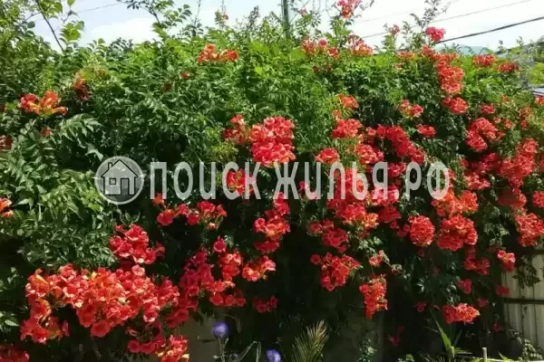 Дом под ключ «Вишня»