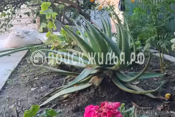 Дом под ключ «Частный дом под ключ без хозяев»