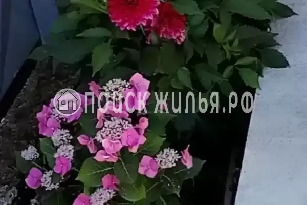 Дом под ключ «Этаж под ключ у моря»