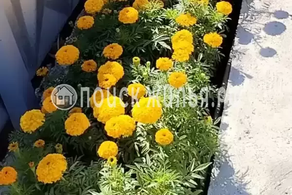 Дом под ключ «Этаж под ключ у моря»