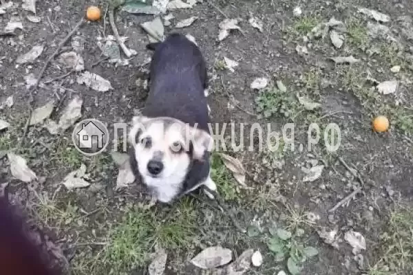 Частный сектор «Душевный домик рядом с морем и озером»