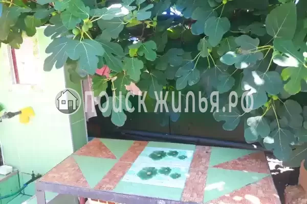 Частный сектор «Душевный домик рядом с морем и озером»