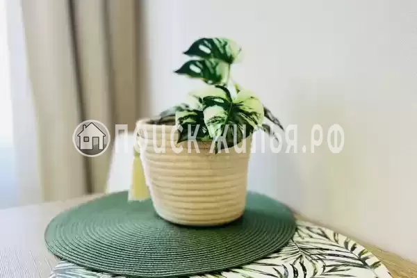 Апартаменты «3-х местные в центре»