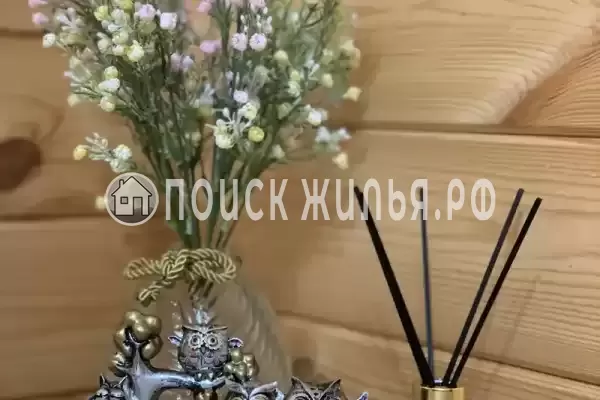Дом под ключ «Sanel»