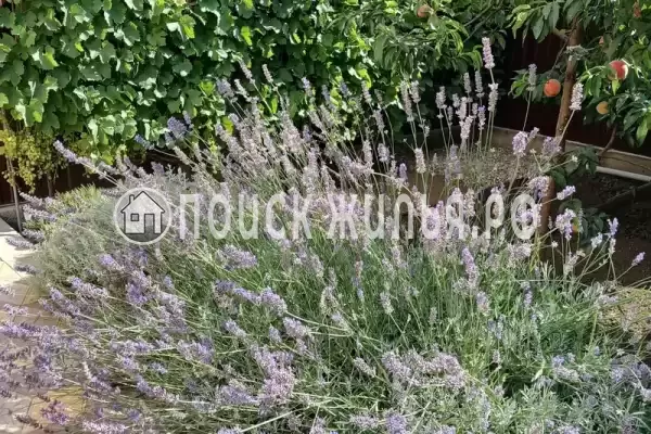 Частный сектор «Семейный Люкс»