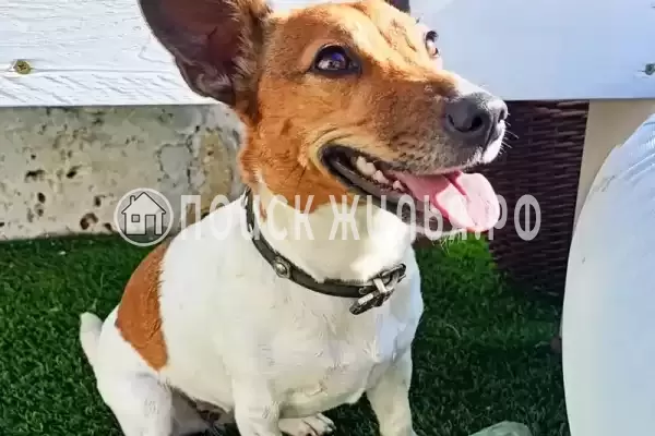 Частный сектор «Семирамида» Частный сектор «Семирамида»