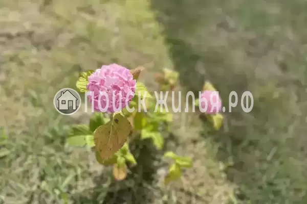 Частный сектор «A-frame»