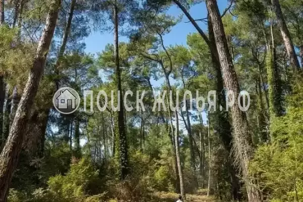 Апартаменты «Двухкомнатные апартаменты в центре»