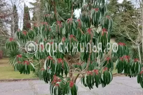 Частный сектор «У Лизы»