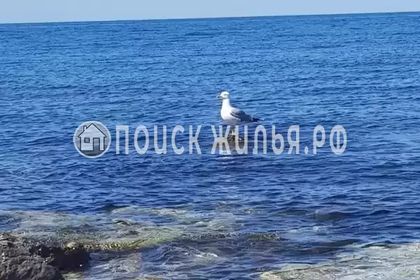 Апартаменты «На Челнокова» Апартаменты «На Челнокова»