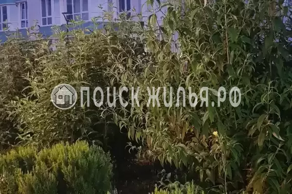 Апартаменты «На Челнокова» Апартаменты «На Челнокова»