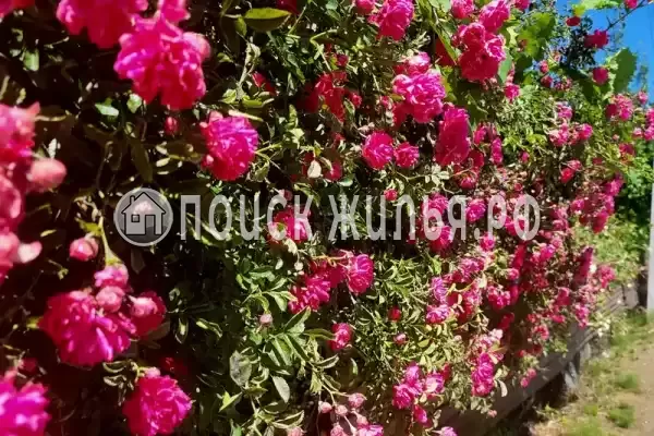 Частный сектор «Жилой дом на Шаумяна»