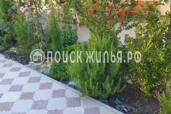 Частный сектор «Номер с отдельным входом» Частный сектор «Номер с отдельным входом»