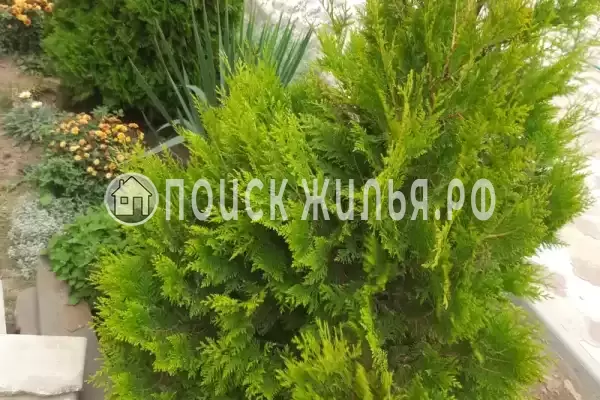 Частный сектор «Номер с отдельным входом» Частный сектор «Номер с отдельным входом»