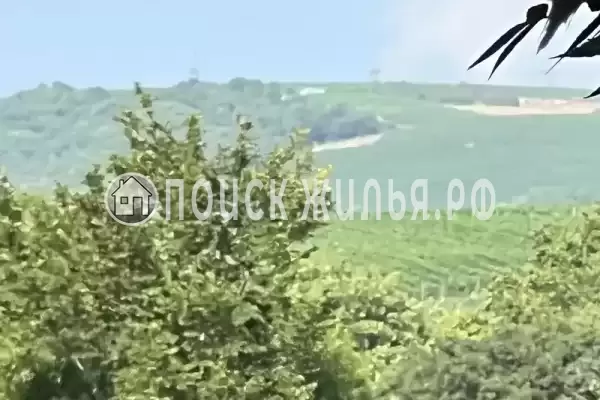 Апартаменты «Люкс»