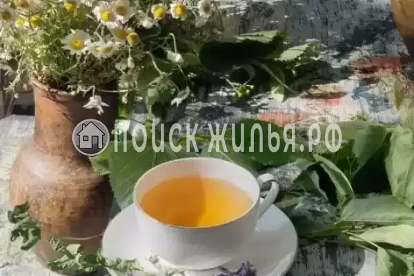 Дом под ключ «Дом художника»