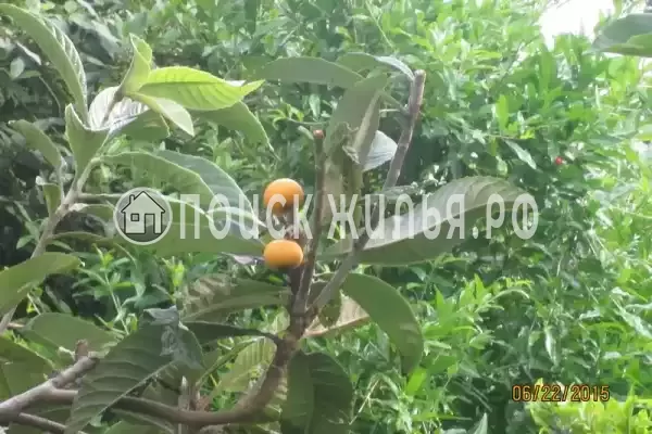 Дом под ключ «Лидия»