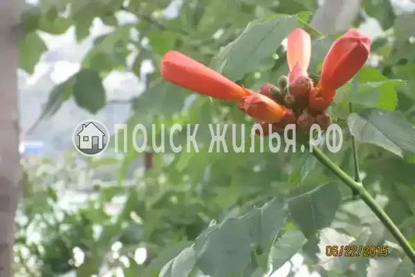 Дом под ключ «Лидия»