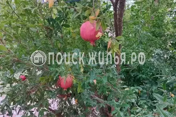 Дом под ключ «На Приморской»