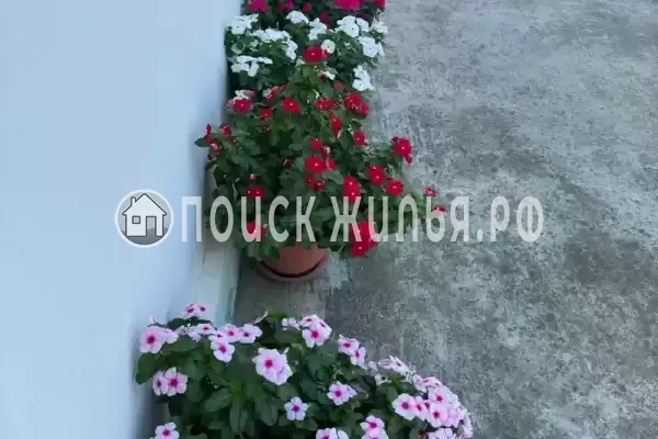 Дом под ключ «Цитрусовый Рай»