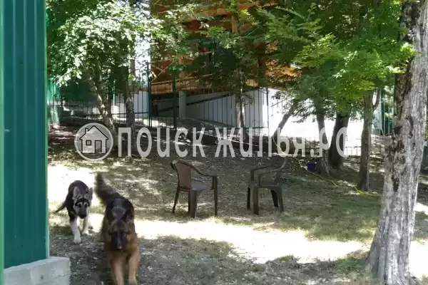 Частный сектор «Бревенчатый дом в лесу у моря» Частный сектор «Бревенчатый дом в лесу у моря»