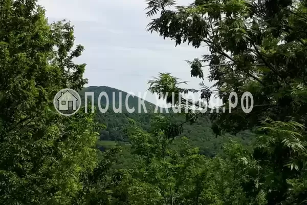 Частный сектор «Бревенчатый дом в лесу у моря» Частный сектор «Бревенчатый дом в лесу у моря»