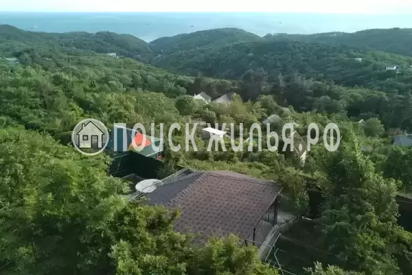 Частный сектор «Бревенчатый дом в лесу у моря» Частный сектор «Бревенчатый дом в лесу у моря»