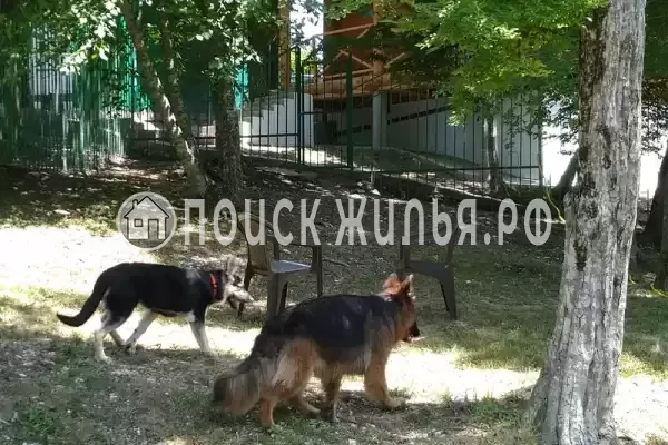 Частный сектор «Бревенчатый дом в лесу у моря» Частный сектор «Бревенчатый дом в лесу у моря»