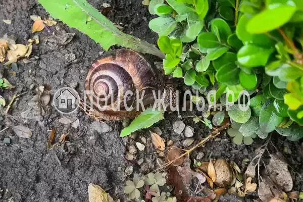 Квартира «-студия» Квартира «-студия»