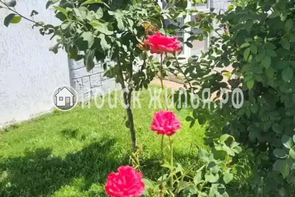 Апартаменты «ZaChill»