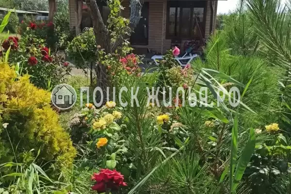 Частный сектор «Дом для семейного отдыха без шумных соседей» Частный сектор «Дом для семейного отдыха без шумных соседей»