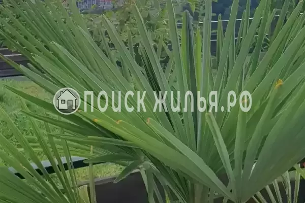 Дом под ключ «Дом с бассейном под ключ»