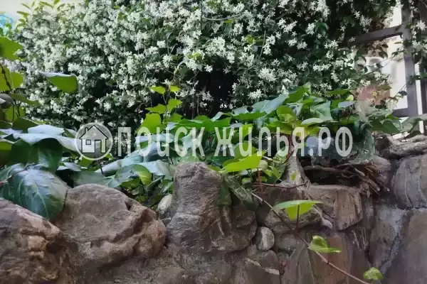 Апартаменты «-студия» Апартаменты «-студия»