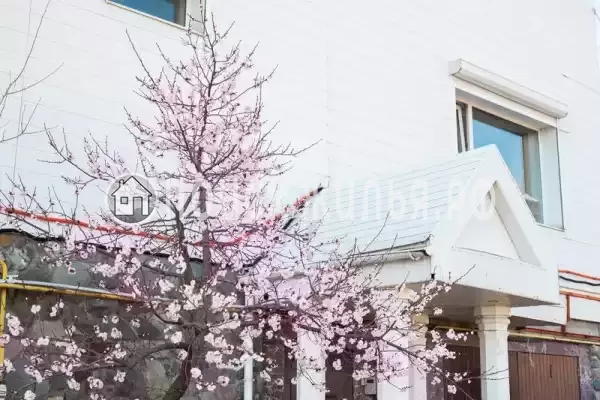 Частный сектор «Цветок Жизни»