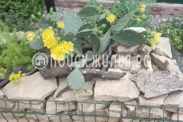 Частный сектор «Домик на Азове»