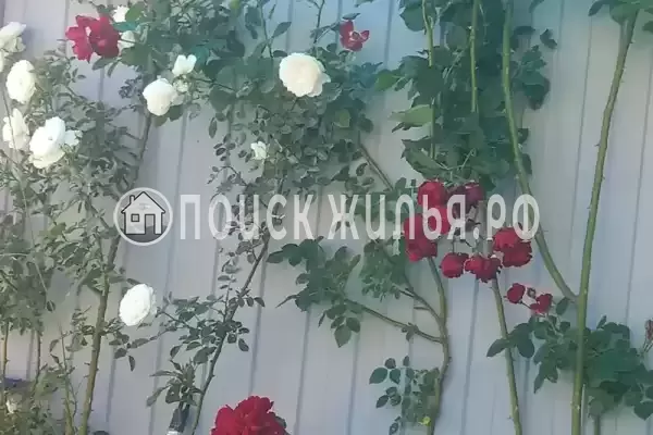 Апартаменты «На земле» Апартаменты «На земле»