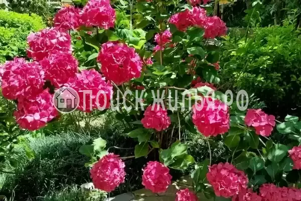 Дом под ключ «Бирюза»