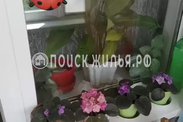 Частный сектор «Однокомнатная на Кошевого» Частный сектор «Однокомнатная на Кошевого»